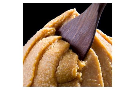 根田醤油の一番人気 田舎味噌と二年もろみ醤油の詰合せ F21R-017