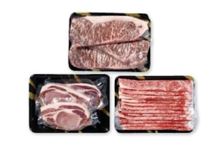福島県の牛・豚 3種類ごちそう詰合せ 1.4kg F21R-035