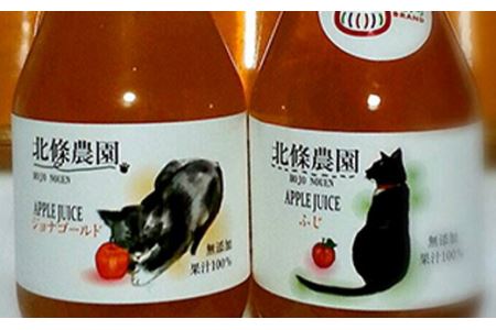 ご愛顧感謝！北條農園の無添加りんごジュース〈ふじ〉大瓶3本入り　1L F21R-110