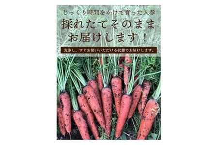 《先行予約》都内マルシェで人気のお野菜！甘みたっぷりフルーツにんじん 3kg F21R-195