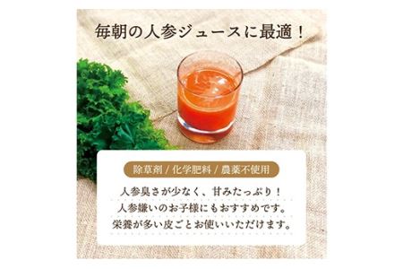 《先行予約》都内マルシェで人気のお野菜！甘みたっぷりフルーツにんじん 3kg F21R-195