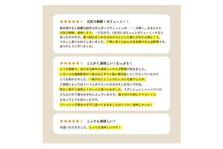 都内マルシェで人気のお野菜！サラダに最適！葉野菜とミニ根菜のセット 5袋 F21R-208