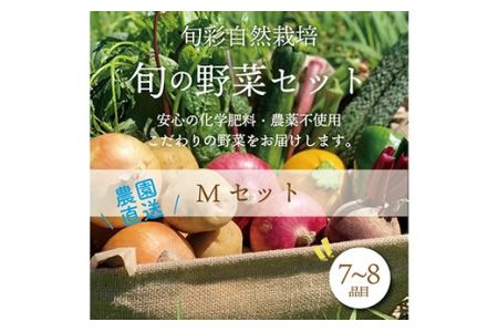 都内マルシェで人気のお野菜！春夏 旬の野菜セットMサイズ(7～8品目) F21R-214