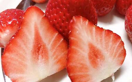 ＜アグリハウス秋山＞ とちおとめ デラックス3L～4L 大玉 24～30粒 F7X-0214