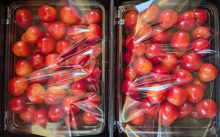 さくらんぼ 佐藤錦 紅秀峰 紅てまりのどれか1品種 1kg Lサイズ 贈答用 ＜有我果樹園＞ F7X-0229