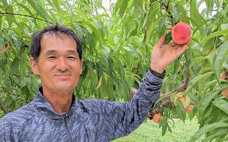 桃 ＜有我果樹園＞ 品種色々 2kg 6～8玉 贈答用 F7X-0231