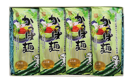 『須賀川特産岩瀬きゅうり』使用かっぱ麺 F7X-0504