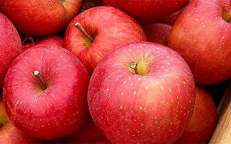 福島県のリンゴ　サンふじ約5kg(14～20玉) F7X-0014