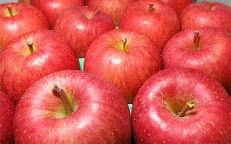 福島県のリンゴ　いわせっ娘 約3kg(8～12玉) F7X-0010