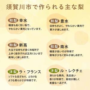 贅沢搾り 洋梨 ル・レクチェ 100％ジュース 200ml×6本 F7X-0166