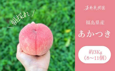 ＜先行受付＞ 嘉斎果樹園の桃「あかつき」約3kg（8～11個） もも モモ 桃 デザート フルーツ 果物 くだもの 果実 食品 F7X-0139