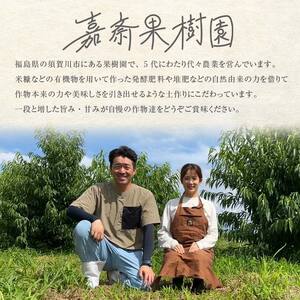 ＜先行受付＞ 嘉斎果樹園の桃「あかつき」約3kg（8～11個） もも モモ 桃 デザート フルーツ 果物 くだもの 果実 食品 F7X-0139