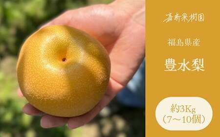 ＜先行受付＞ 嘉斎果樹園の梨「豊水」約3kg（7～10個） なし ナシ 梨 デザート フルーツ 果物 くだもの 果実 食品 F7X-0528