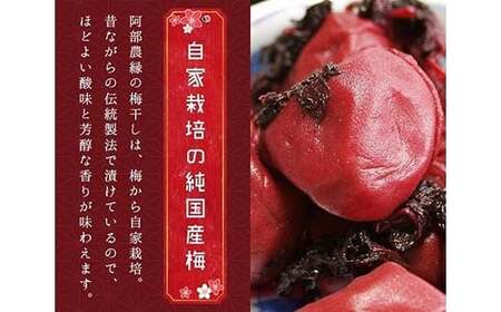 無添加 手作り梅干し 特選 大梅 250g×3パック F7X-0039