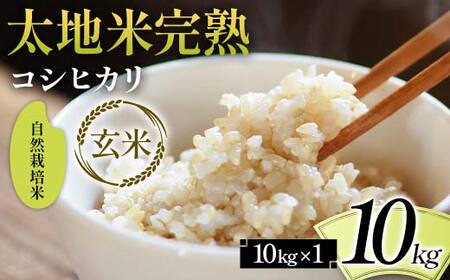 2026年産 自然栽培米 太地米完熟【こしひかり】 玄米 10kg ブランド米 お米 人気 F7X-0683