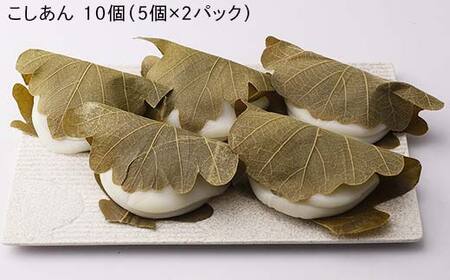 創業から人気の味 かしわ餅20個セット（こしあん・つぶあん） 柏餅 かしわ餅 もち こしあん つぶあん 和菓子 F7X-0147