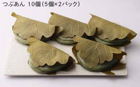 創業から人気の味 かしわ餅20個セット（こしあん・つぶあん） 柏餅 かしわ餅 もち こしあん つぶあん 和菓子 F7X-0147