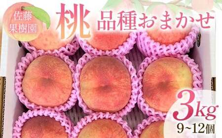桃 品種おまかせ 3kg 9～12個 もも 贈答 プレゼント ＜佐藤果樹園＞ モモ 桃 デザート フルーツ 果物 F7X-0281