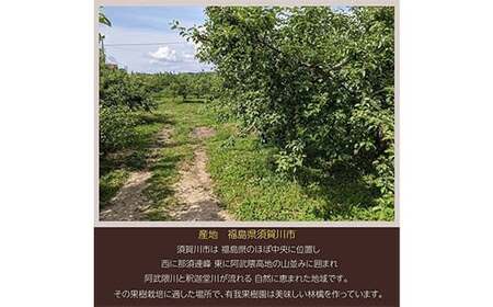 りんご 家庭用 5kg バラ積め 保証+1kg入＜有我果樹園＞ りんご リンゴ 林檎 デザート フルーツ 果物 くだもの F7X-0286