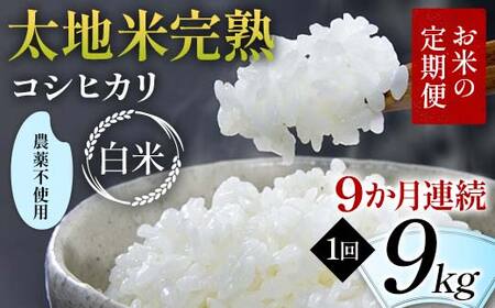 【先行予約】お米の定期便 農薬不使用米 太地米完熟 【こしひかり】 白米9kg×9か月連続 ブランド米 お米 精米 白米 人気 F7X-0742