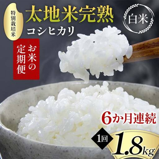 【先行予約】お米の定期便 特別栽培米 太地米完熟 【こしひかり】 白米1.8kg×6か月連続 ブランド米 お米 精米 白米 人気 F7X-0685