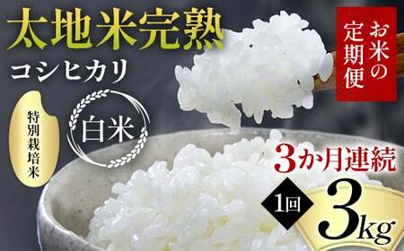 お米の定期便 特別栽培米 太地米完熟 【こしひかり】 白米3kg×3か月連続 ブランド米 お米 精米 白米 人気 F7X-0372