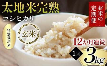【先行予約】お米の定期便 特別栽培米 太地米完熟 【こしひかり】 玄米3kg×12か月連続 ブランド米 お米 人気 F7X-0699
