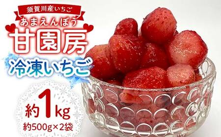 冷凍いちご「甘園房～あまえんぼう～」 約1kg(約500g×2袋) いちご イチゴ 苺 デザート フルーツ 果物 くだもの 果実 食品 F7X-0156