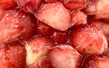 冷凍いちご「甘園房～あまえんぼう～」 約1kg(約500g×2袋) いちご イチゴ 苺 デザート フルーツ 果物 くだもの 果実 食品 F7X-0156