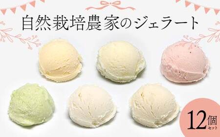 自然栽培農家のジェラート 12個セット ジェラート デザート スイーツ 菓子 食品 F7X-0363