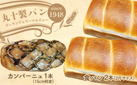 丸十製パン　もっちり食感のこだわり食パン&具材ぎっしり贅沢カンパーニュ F7X-0094