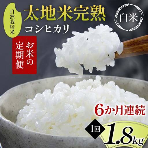 【先行予約】お米の定期便 自然栽培米 太地米完熟 【こしひかり】 白米1.8kg×6か月連続 ブランド米 お米 精米 白米 人気 F7X-0749