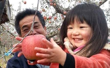 家庭用 有機農薬使用・完全無肥料栽培「サンふじ」葉とらずりんご約2kg(6~8玉) F7X-0469