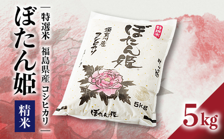 【地元ブランド】令和4年産ぼたん姫精米 5kg【1061615】