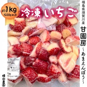 冷凍いちご「甘園房~あまえんぼう~」 約1kg(約500g×2袋)【1288303