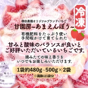 冷凍いちご「甘園房~あまえんぼう~」 約1kg(約500g×2袋)【配送不可地域