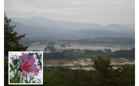 子宝の湯 熱塩温泉 ペア利用券20000円分 【07208-0106】