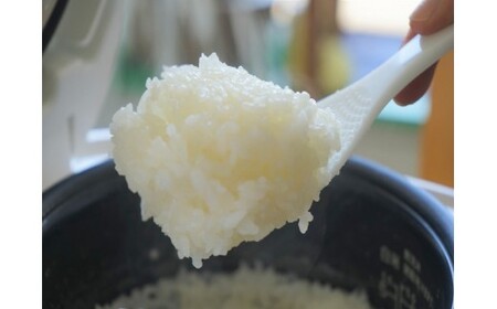会津たかさと産コシヒカリ 特別栽培米 美米(うまい)