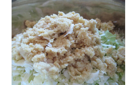 ヒマラヤ岩塩入り生しょうが餃子(22g×50個)　【07208-0283】