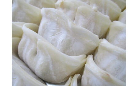 ヒマラヤ岩塩入り生しょうが餃子(22g×50個)　【07208-0283】