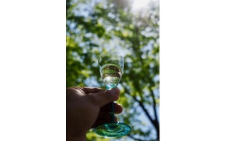 美禄の森(はちみつ酒) 520ml ギフト 人気 お土産 グルメ 会津 喜多方【07208-0067】