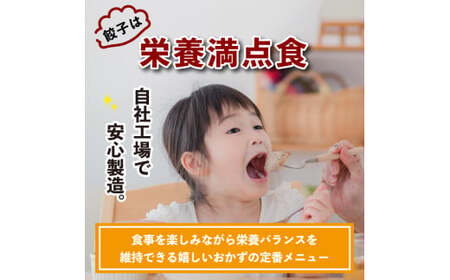 喜多方ラーメン来夢　自家製冷凍餃子　80個入り　【07208-0274】