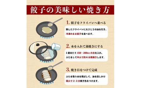 喜多方ラーメン来夢　自家製冷凍餃子　80個入り　【07208-0274】