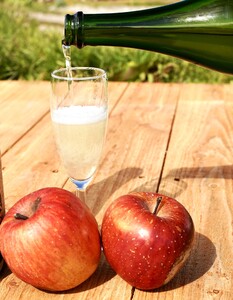 福島の恵み 喜多方シードルとワイン(Aセット) シードル マスカットベイリー 750ml 各1本 計2本 ギフト お土産【07208-0099】