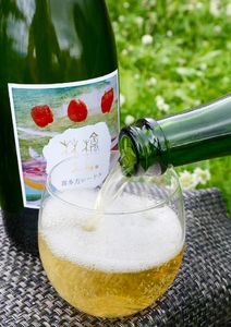 福島の恵み 喜多方シードルとワイン(Aセット) シードル マスカットベイリー 750ml 各1本 計2本 ギフト お土産【07208-0099】