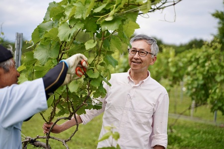 福島の恵み 喜多方シードルとワイン(Aセット) シードル マスカットベイリー 750ml 各1本 計2本 ギフト お土産【07208-0099】