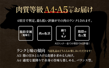 牛肉 すき焼き用 500g 会津喜多方産 黒毛和牛 会津牛 ギフト【07208-0290-C】