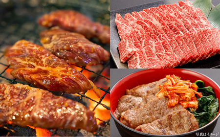 牛肉 焼肉・すき焼き・サーロイン 大満足セット 定期便12か月 会津喜多方産 黒毛和牛 会津牛 ギフト お土産 ステーキ【07208-0298-C】