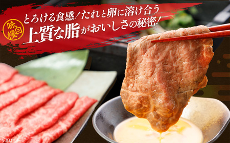 牛肉 すき焼き 500ｇ 定期便12か月 計6,000ｇ 会津喜多方産 黒毛和牛 会津牛 ギフト お土産【07208-0300-C】