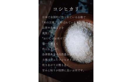 令和7年度産会津喜多方産お米食べ比べ20kgセット　【07208-0271】